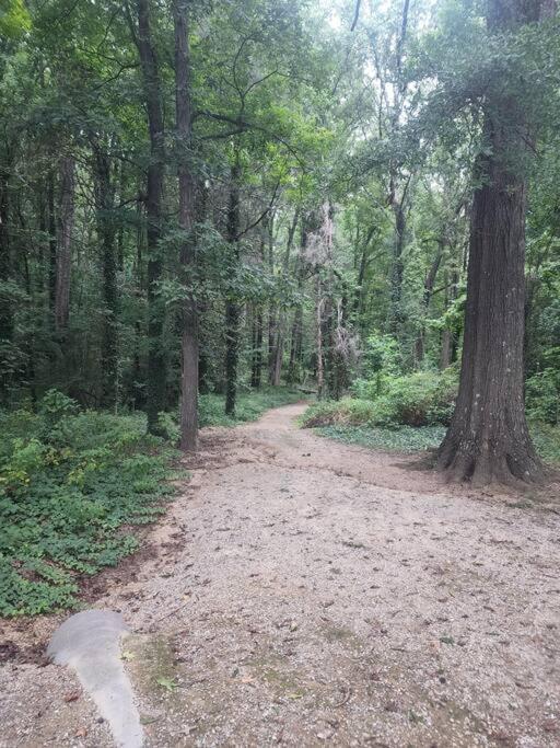 Apartamento Spotless 4Br Near Clt Uptown, Fast Wi-Fi Charlotte Exterior foto
